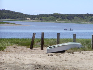 Welfleet, MA- a place with a healthy aquaculture and wild harvest fishery.