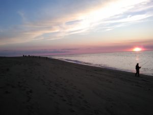 national park, shorebirds, conservation, plovers