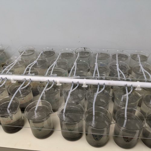 PXL_20230726_164544854